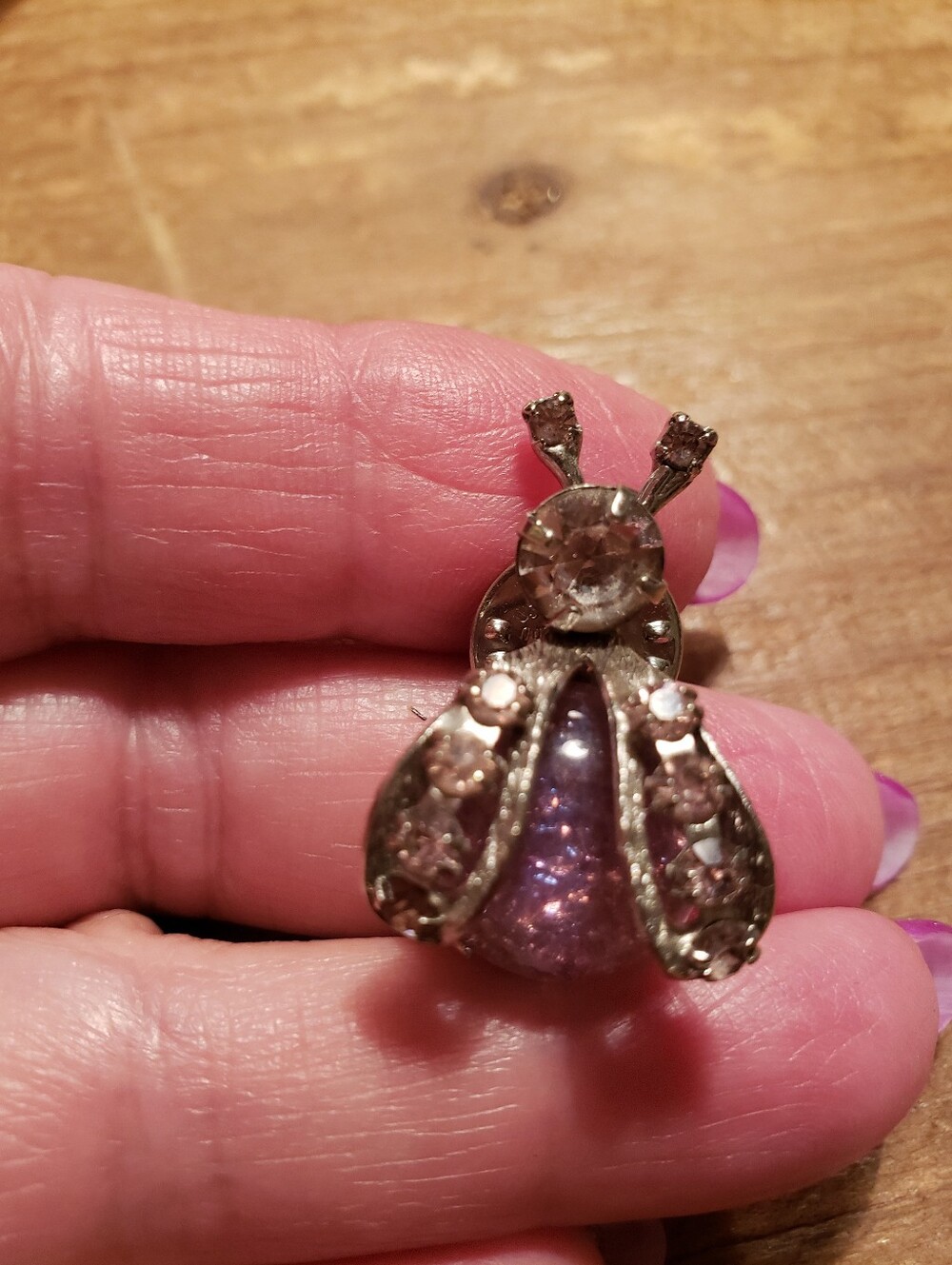 Vintage Silver-tone Weiss Insect Tac Pin With Orchid Sets